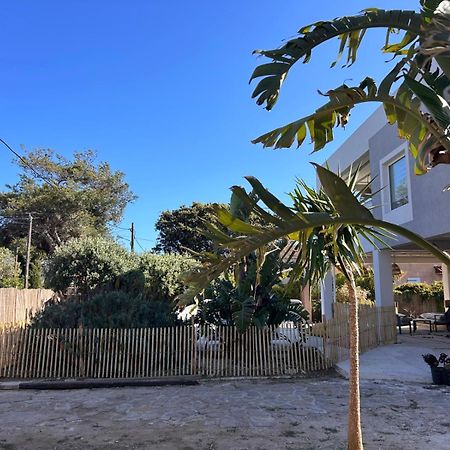 Bas De Villa - 300M Plage De La Capte - 2 Hebergements Disponibles Hyères Екстериор снимка